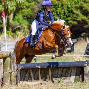 Super All Round pony