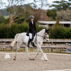 SUPER FUN & TALENTED PONY 