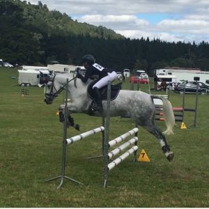 Ultimate Allround Pony 