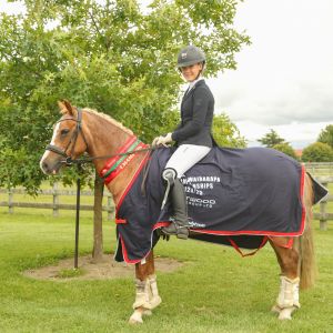 Horse for sale: Exceptional 135.5cm (13.1hh) FEI Dressage Pony
