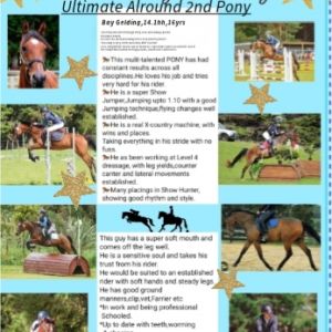 Ultimate Alround 2nd Pony