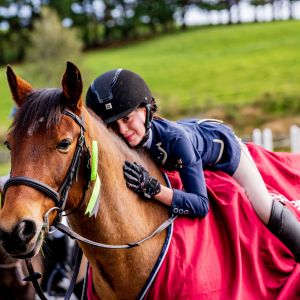 🌟PONY WANTED - A Truly Fantastic Home Awaits A Special Pony 🌟