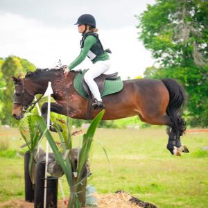 Top Competitive performance Pony 