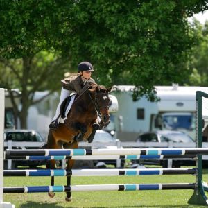 Top Competitive performance Pony 