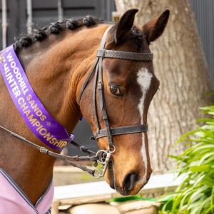 Your Child’s next Superstar Pony!