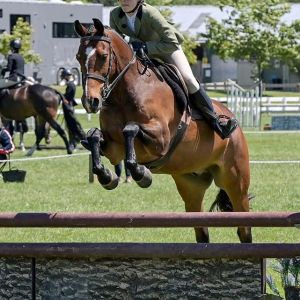 Your Child’s next Superstar Pony!