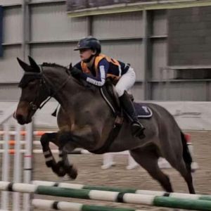 Your Child’s next Superstar Pony!
