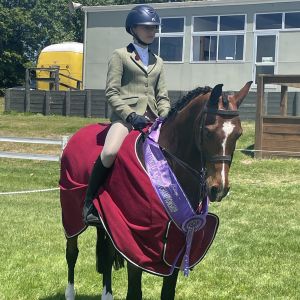 Your Child’s next Superstar Pony!