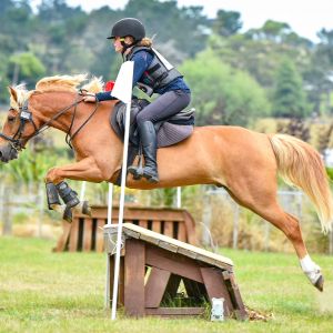 Superstar, safe allrounder