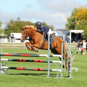 Fantastic Jumping Schoolmaster