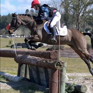 Ribbon Winning Princess Pony