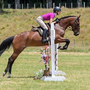 The ultimate all round full height pony