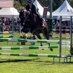 Exquisite, kind talented SJ, SH, showing 2nd PONY