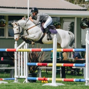 Talented Fun Grand Prix Pony