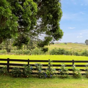 Property for sale: California Dreaming- Rural Couture