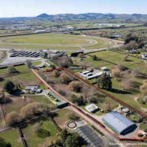 First Past the Post – Equine or Landbank