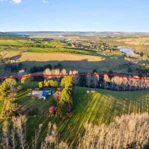 Pukepapa - experience elevated living